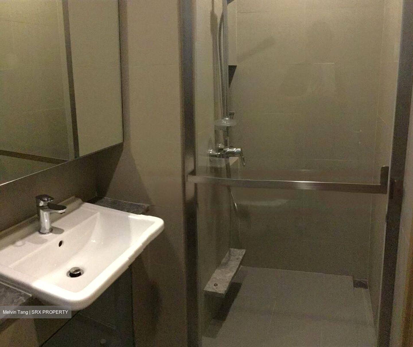 Skyline Residences (D4), Condominium #477794651